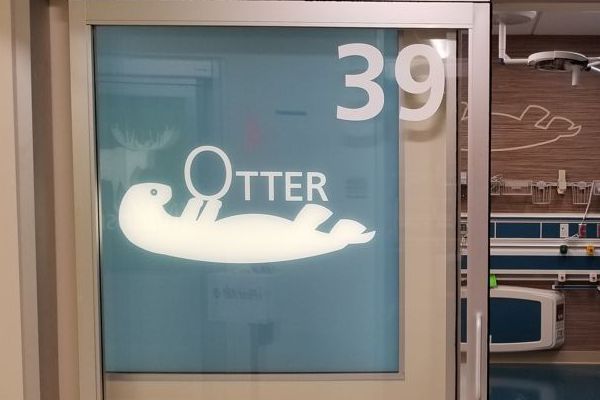 otter graphic light box